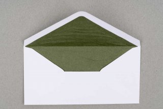 Envelopes DIN longos, brancos com forro verde